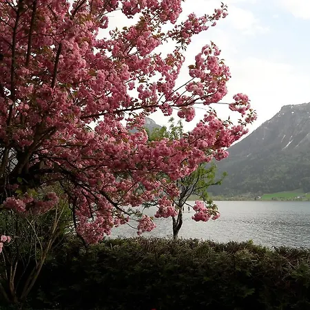 Apartman Aberseeblick Ellmauer Saint Wolfgang