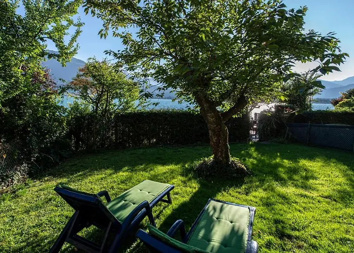 Aberseeblick Ellmauer *