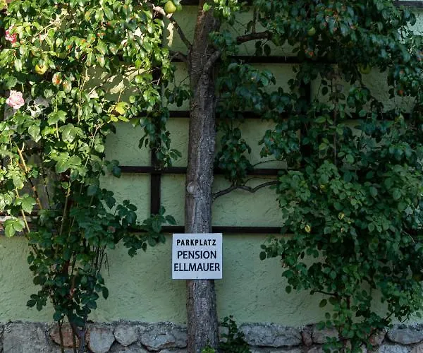 Aberseeblick Ellmauer Lejlighed *