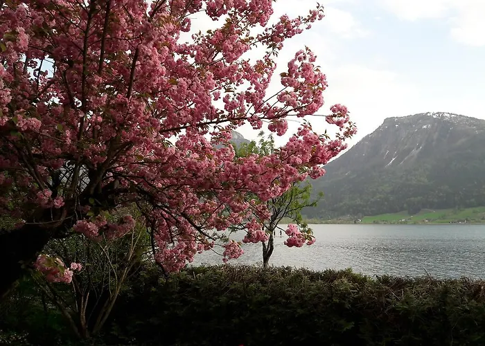 Lejlighed Aberseeblick Ellmauer Saint Wolfgang